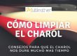 Cómo limpiar el charol